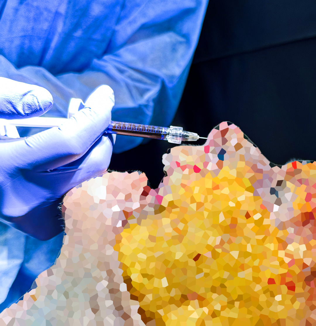 Cadaver Lab Verona Cum Laude