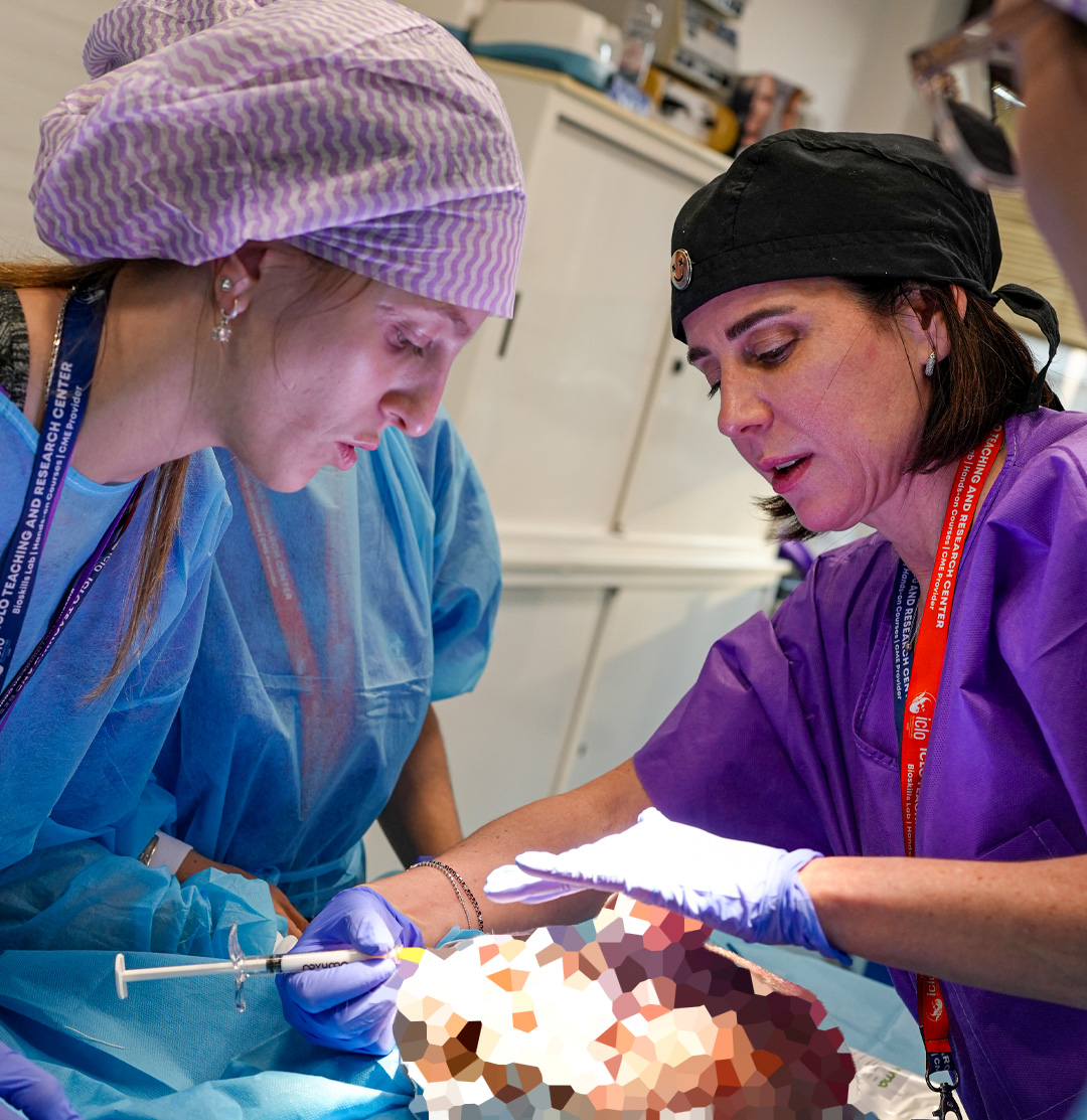 Cadaver Lab Verona Cum Laude